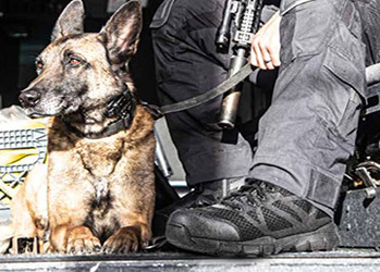 Police Safety Boots and Shoes